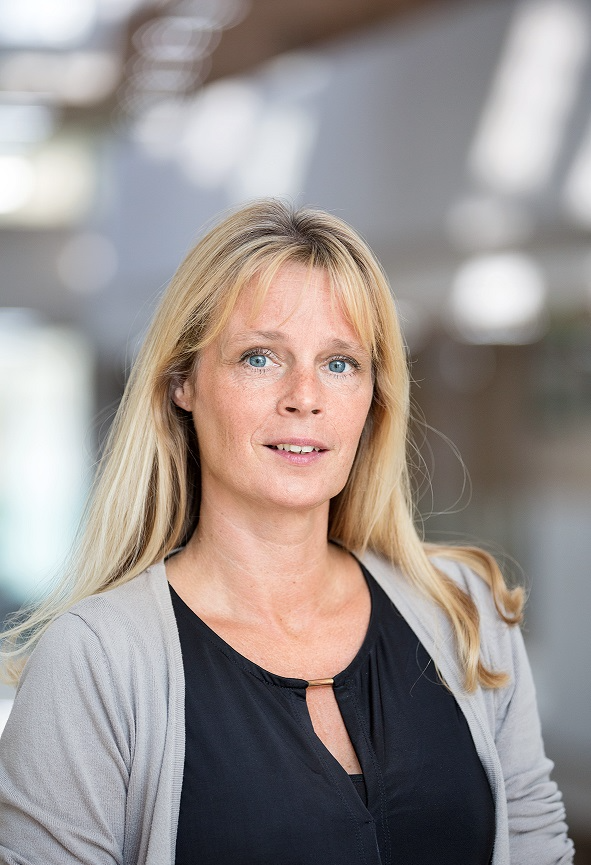 Schermafbeelding 2020 06 11 Om 09.52.28